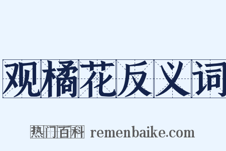 观橘花反义词是什么意思的图片